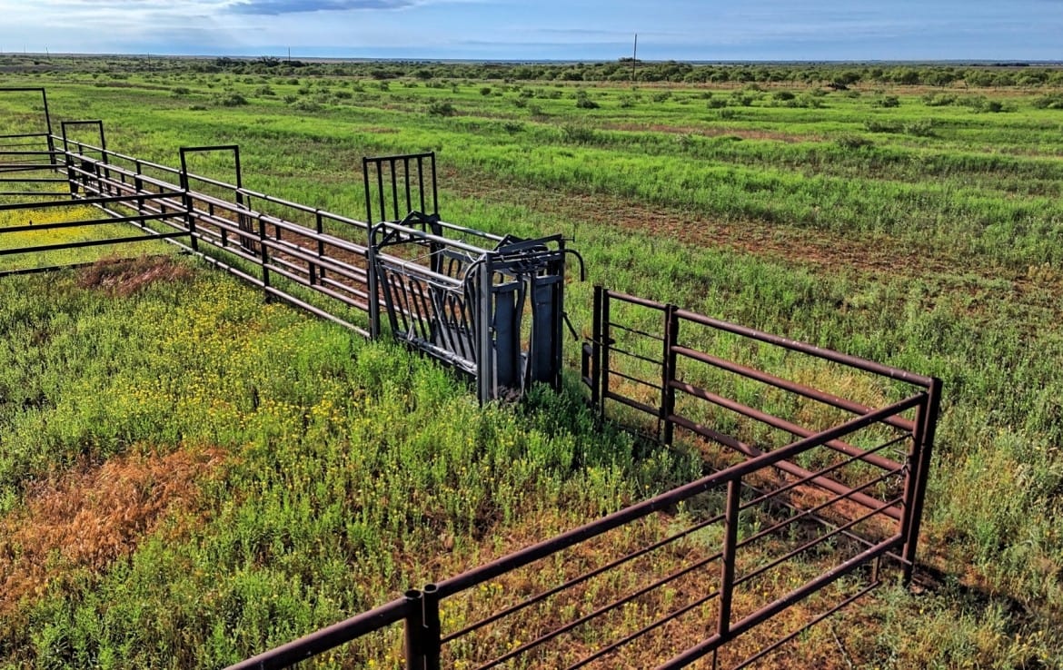 335 acres in Hardeman County