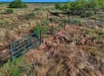 335 acres in Hardeman County