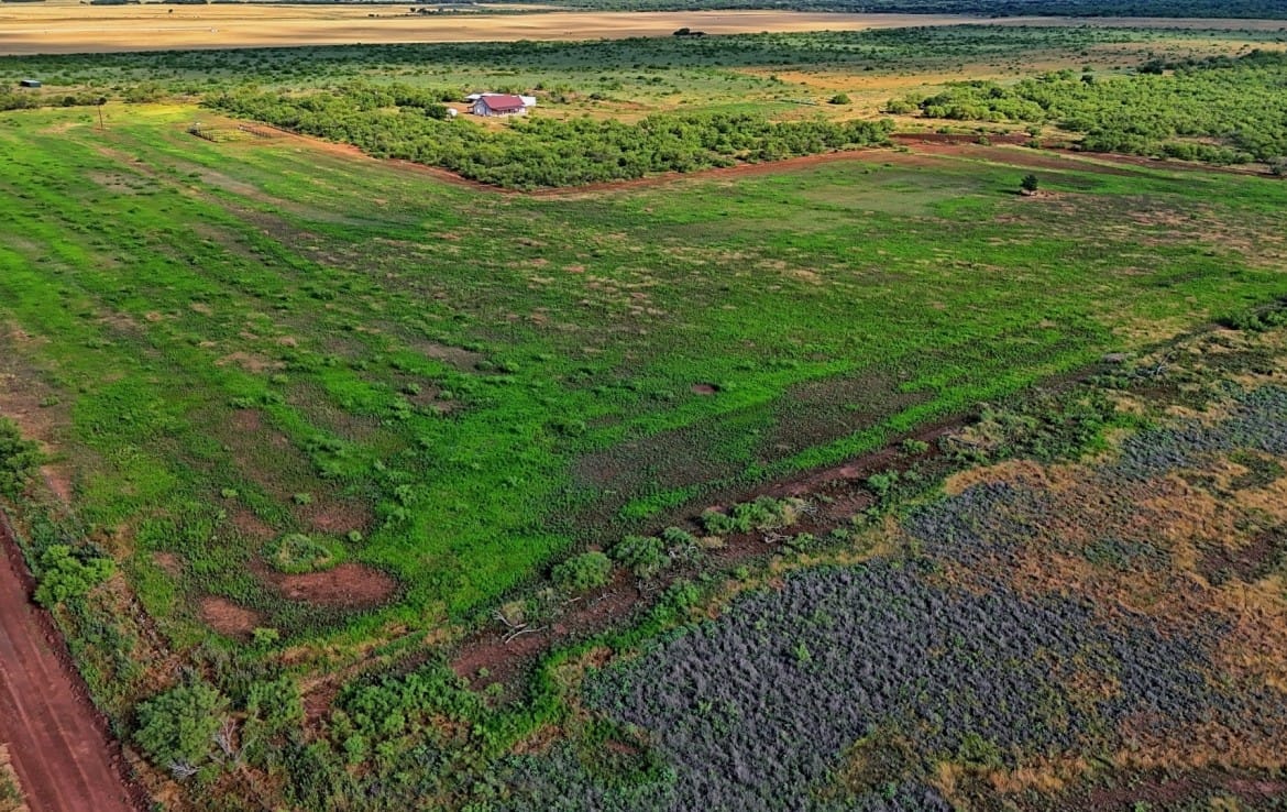335 acres in Hardeman County