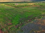335 acres in Hardeman County