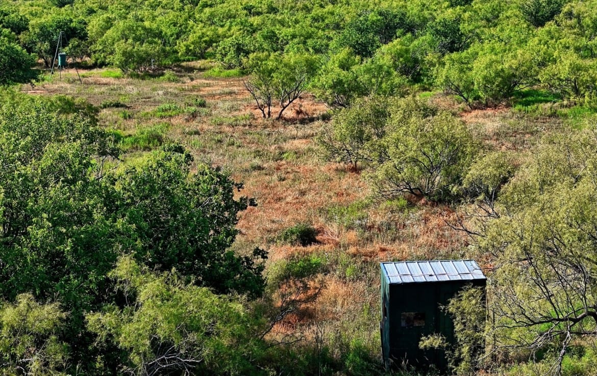 335 acres in Hardeman County