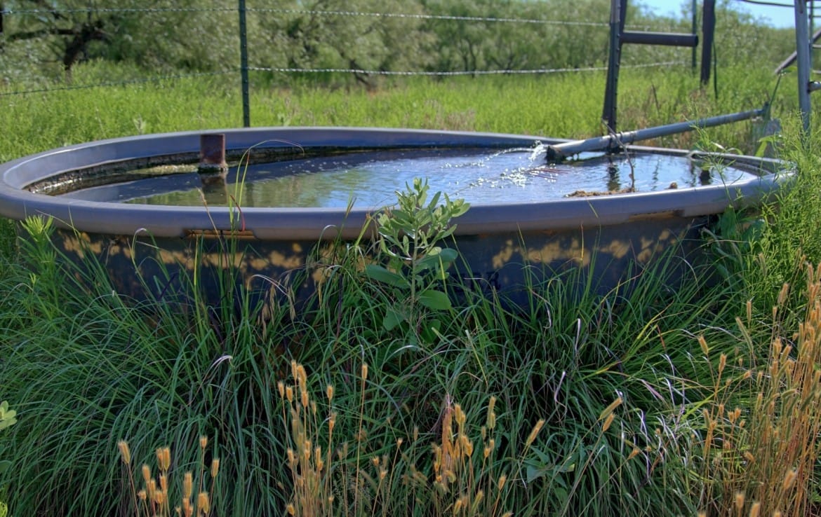 335 acres in Hardeman County