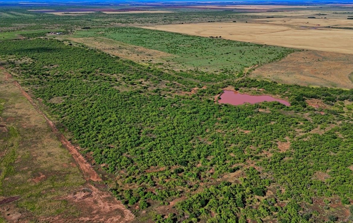 335 acres in Hardeman County