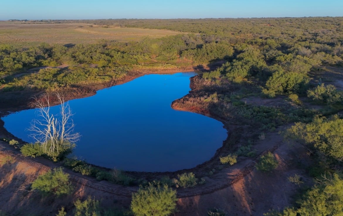 335 acres in Hardeman County