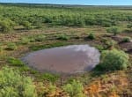 335 acres in Hardeman County