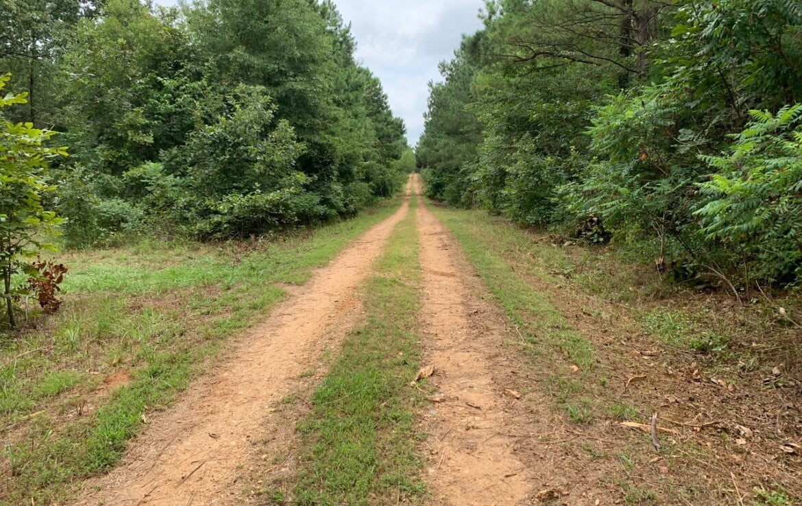 16 acres in Bowie County Texas Hunting Land LLC