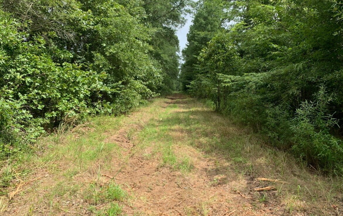 16 acres in Bowie County Texas Hunting Land LLC
