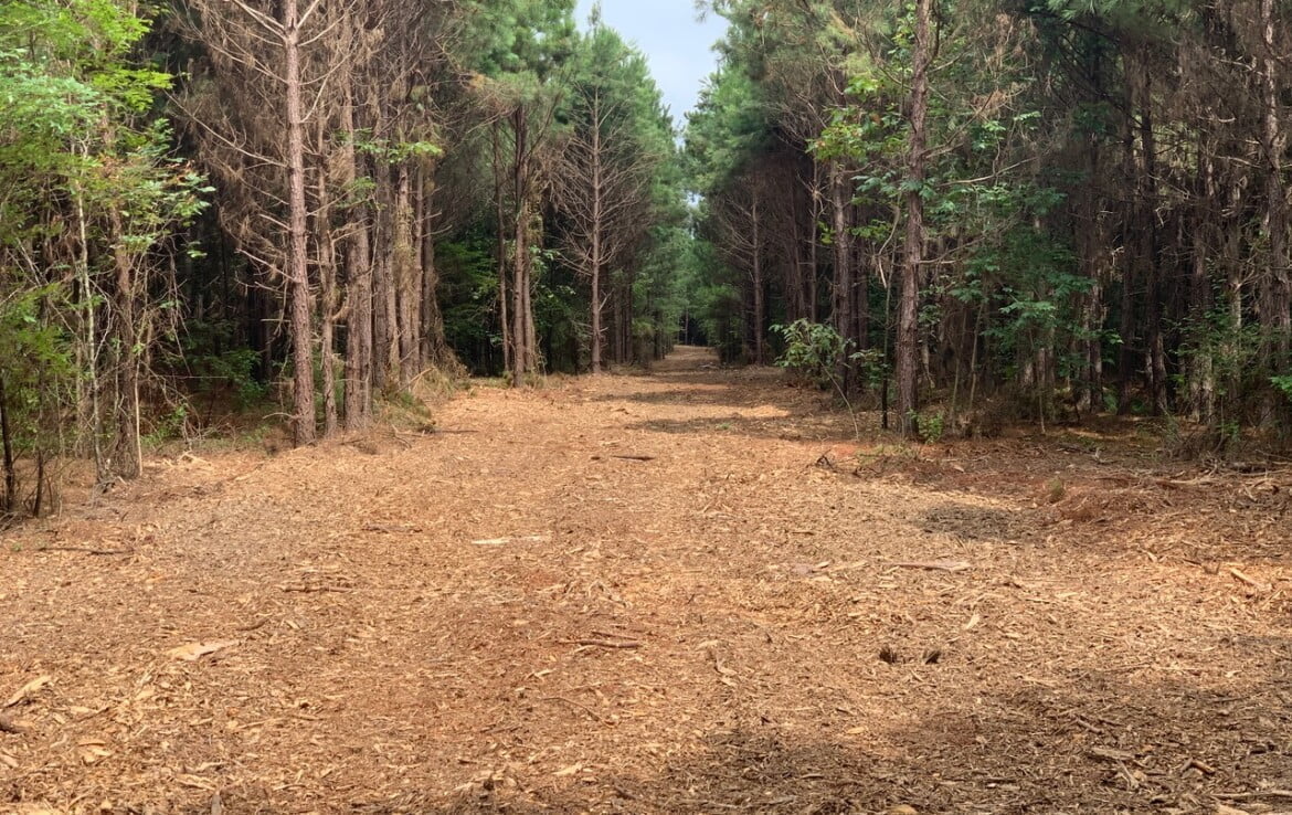 16 acres in Bowie County Texas Hunting Land LLC