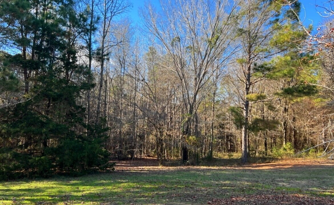 11 acres in Cass County