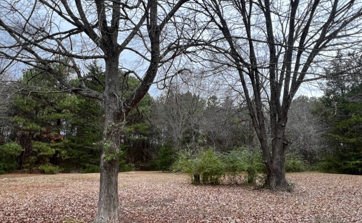 11 acres in Cass County