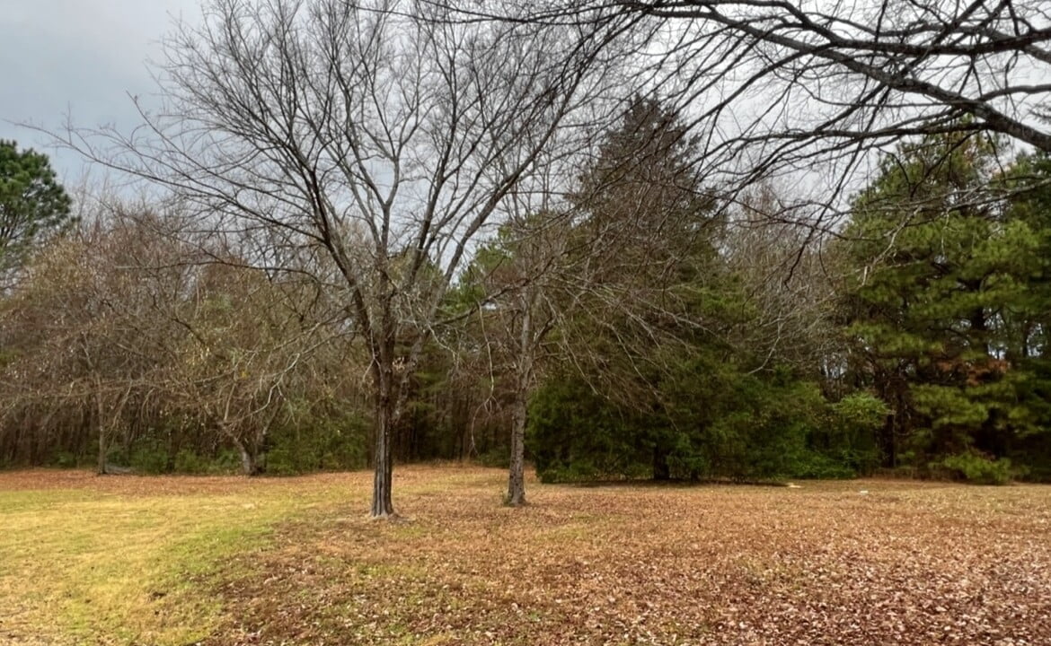 11 acres in Cass County