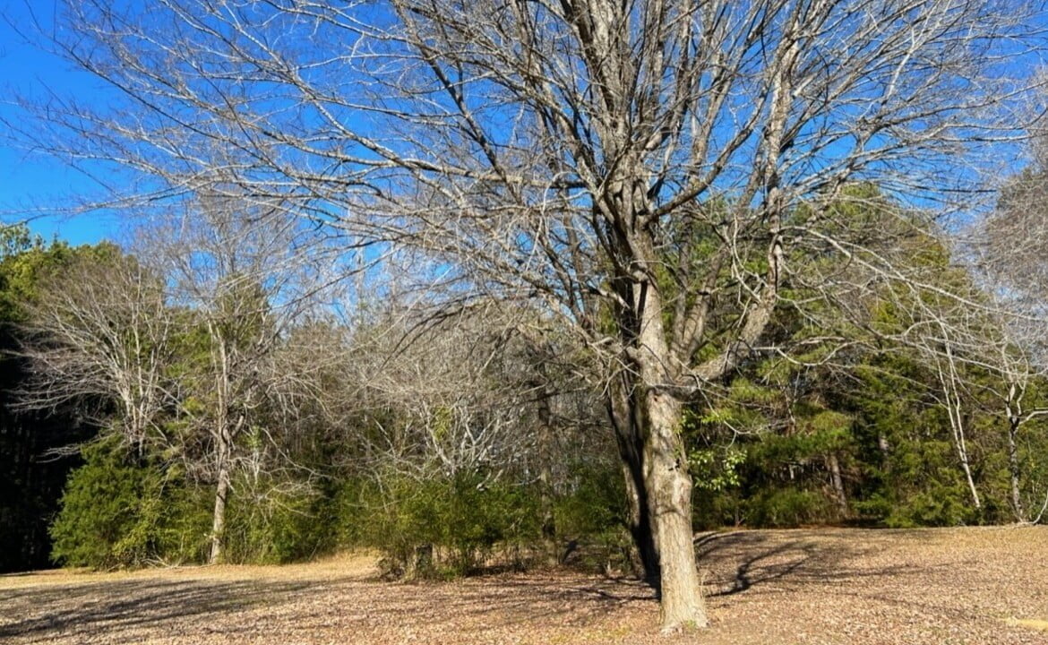 11 acres in Cass County