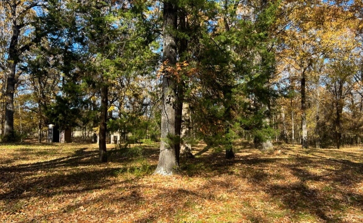 125 acres in Red River County