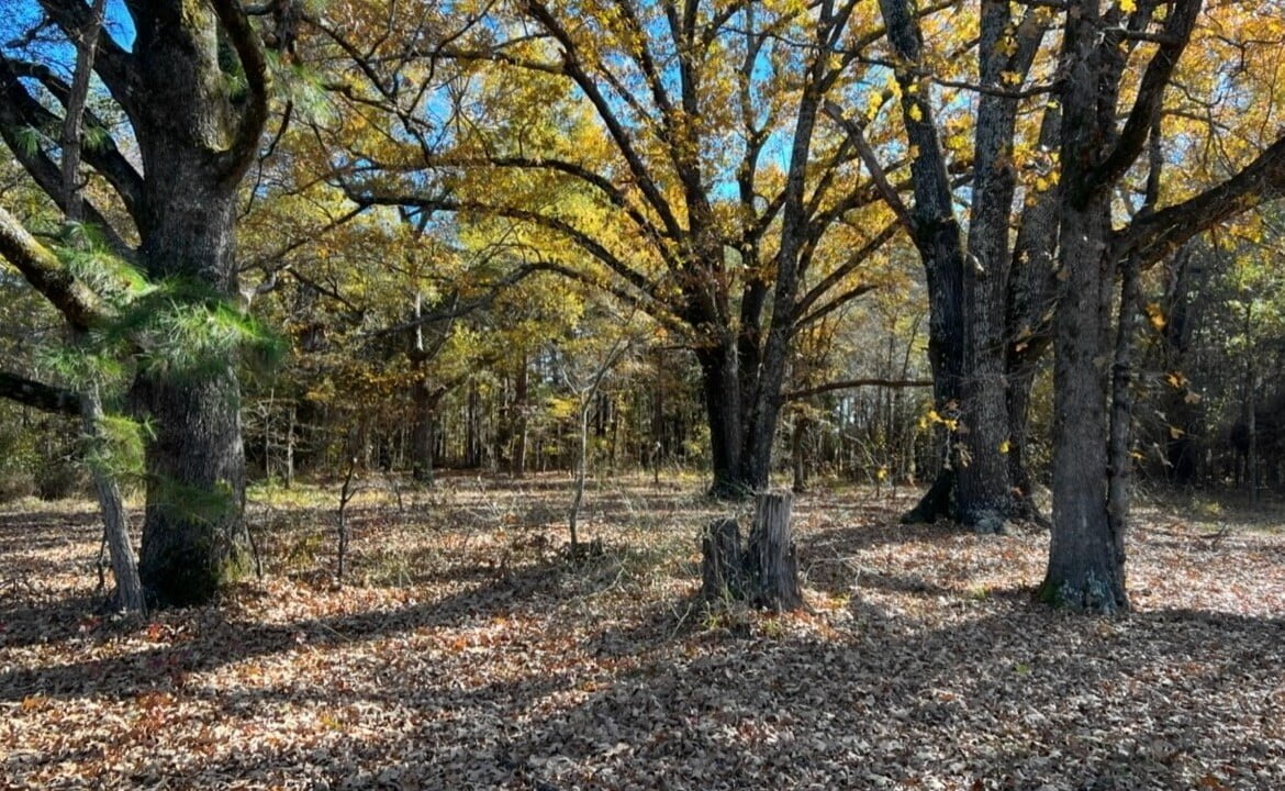 125 acres in Red River County