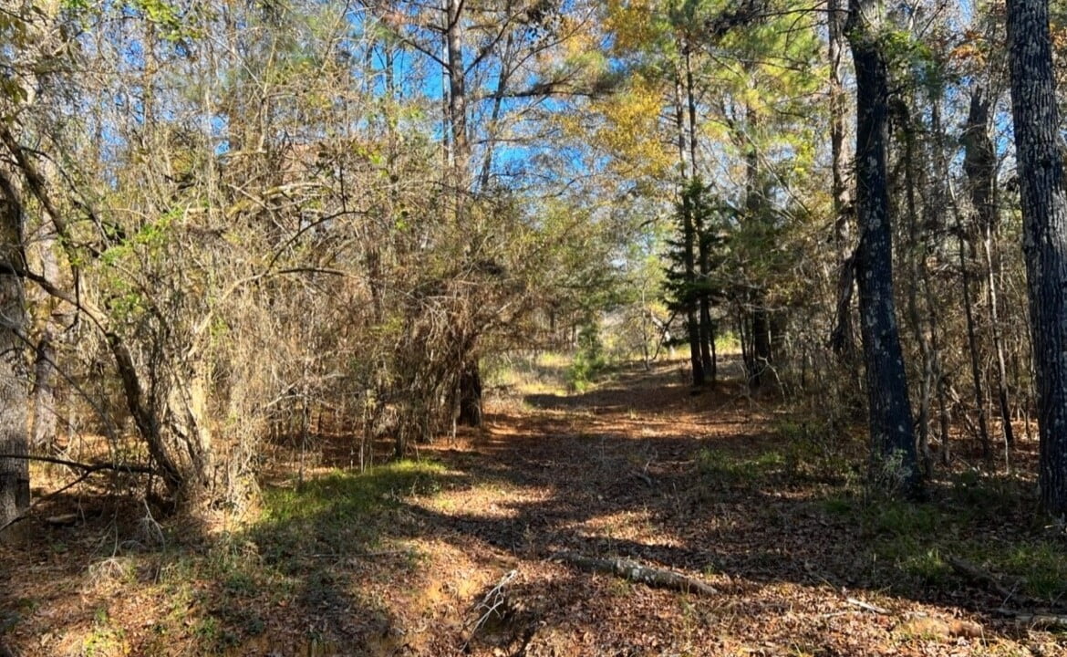 125 acres in Red River County