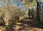 125 acres in Red River County