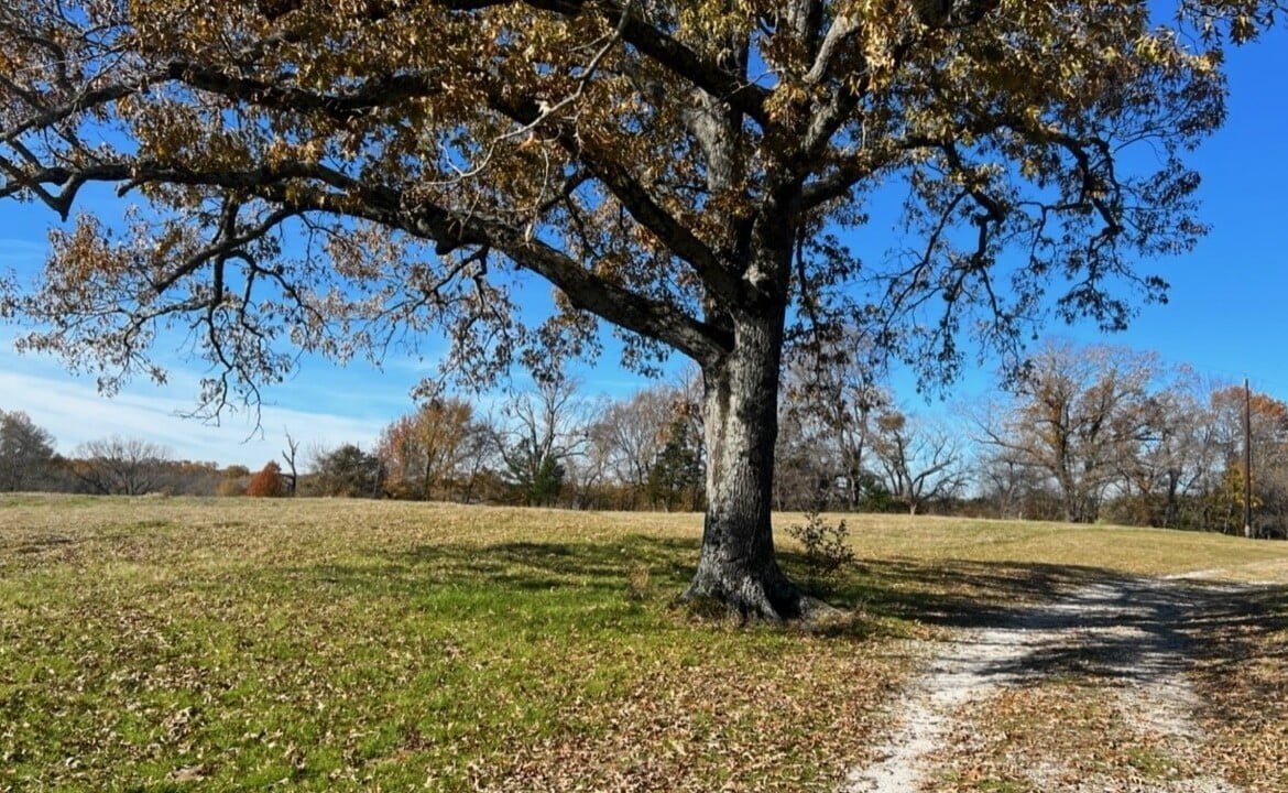 125 acres in Red River County