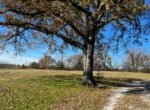 125 acres in Red River County