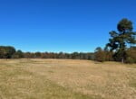 125 acres in Red River County