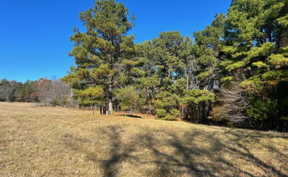 125 acres in Red River County