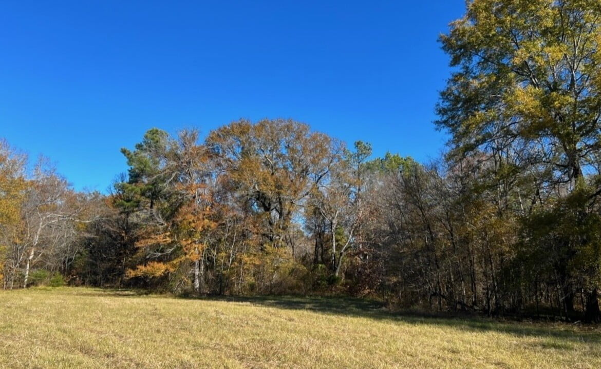 125 acres in Red River County