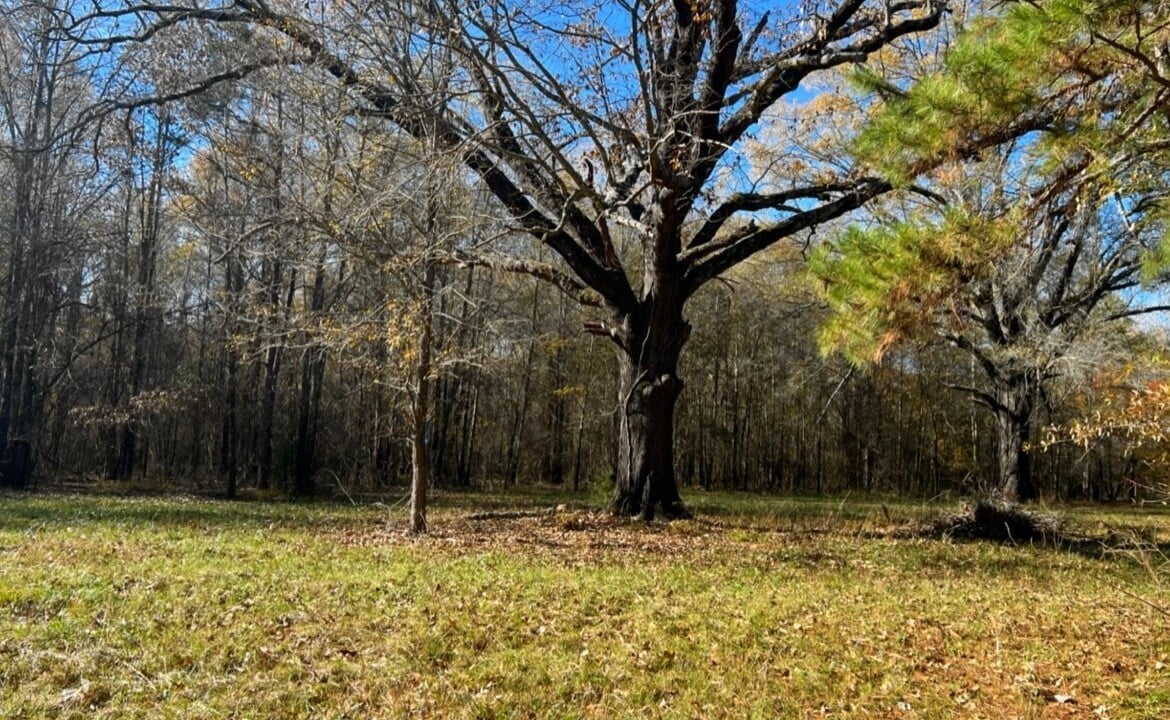 125 acres in Red River County