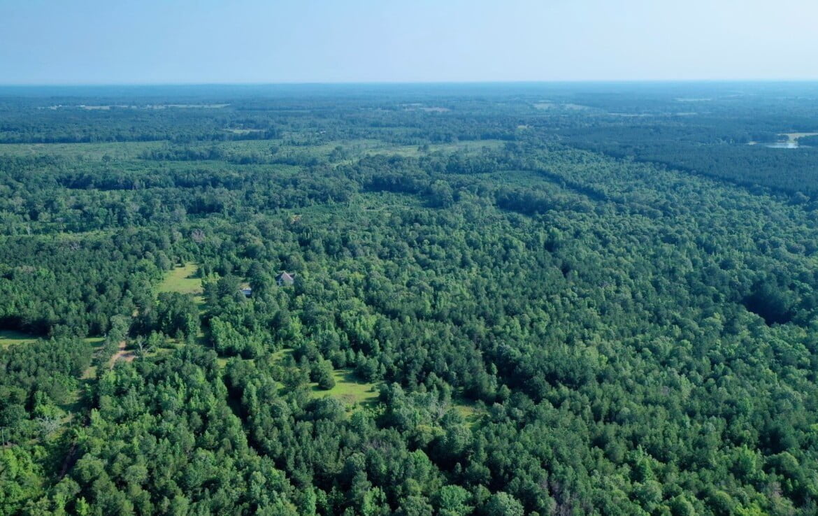 155 acres in Shelby County Texas Hunting Land LLC