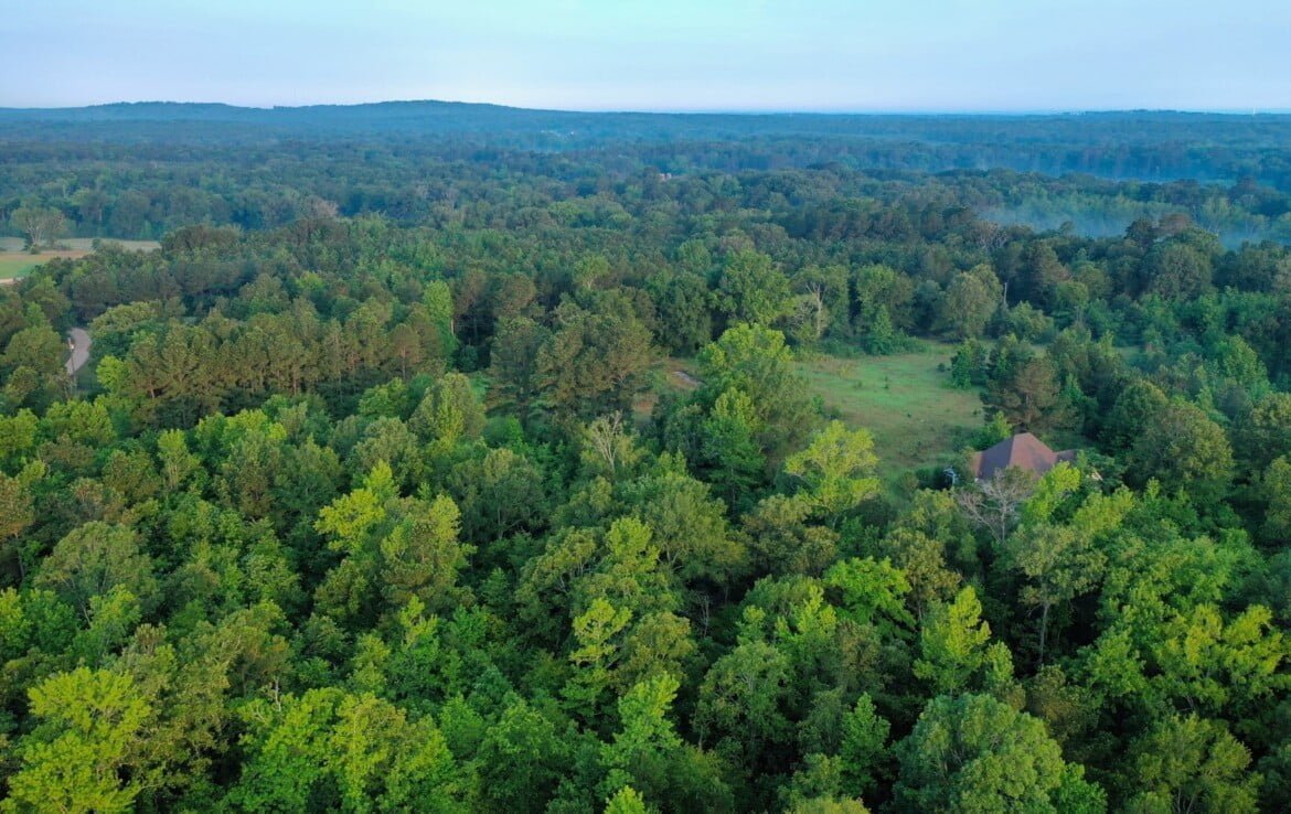 155 acres in Shelby County Texas Hunting Land LLC