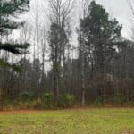 5 acres in Cass County