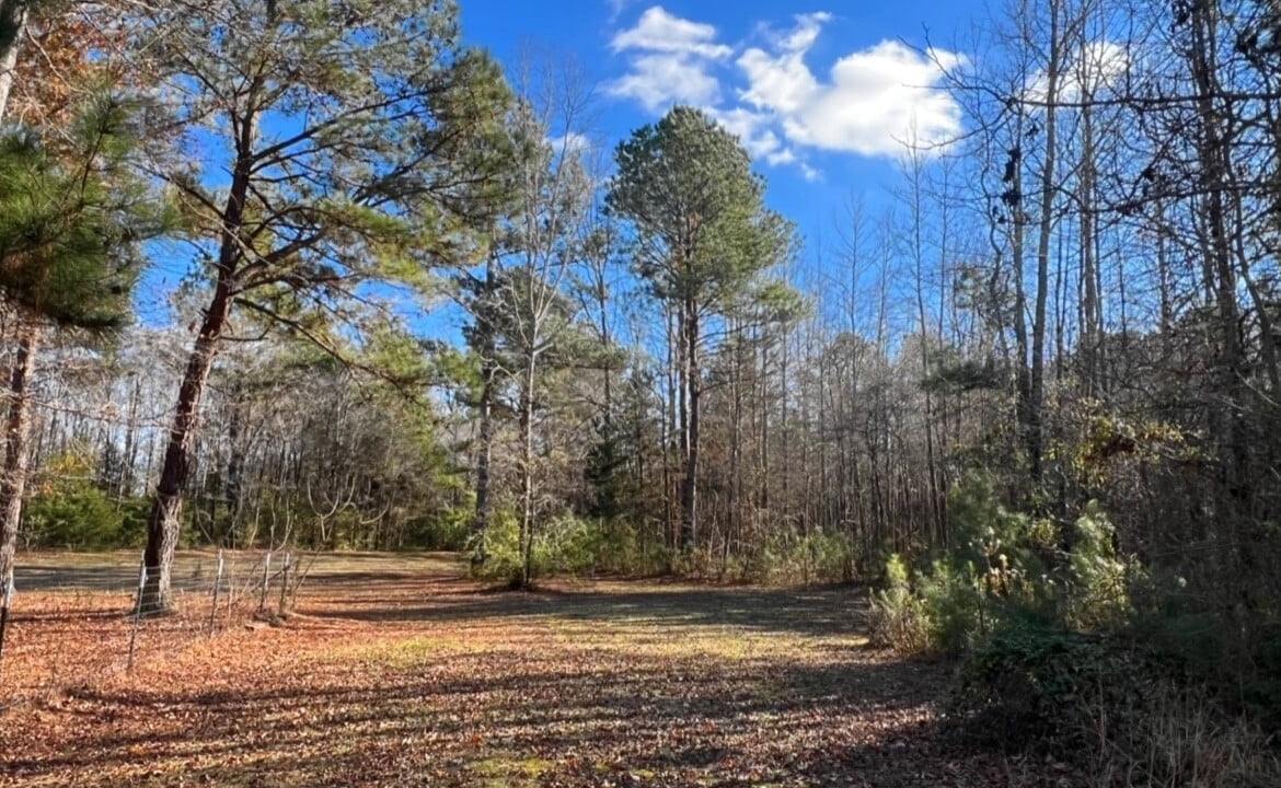 5 acres in Cass County