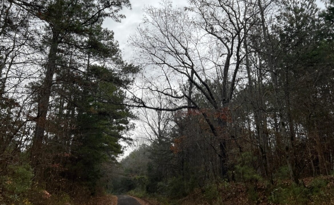 22 acres in Cass County