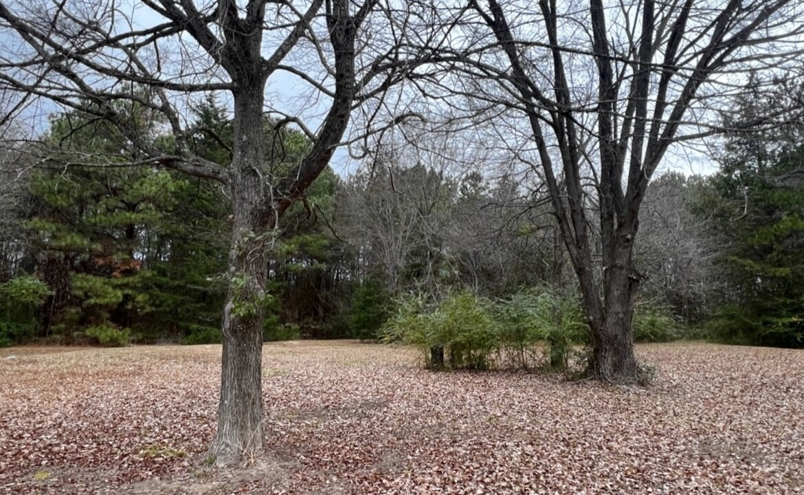 5 acres in Cass County