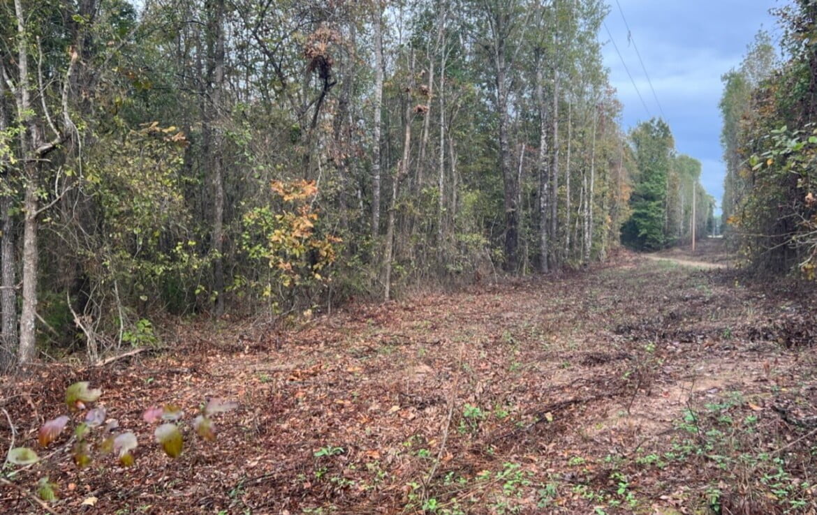 15 acres in Red River County