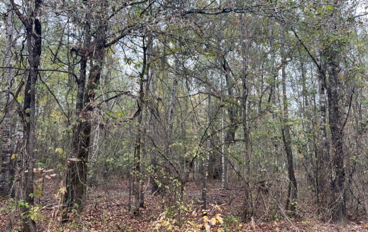 15 acres in Red River County