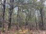 15 acres in Red River County
