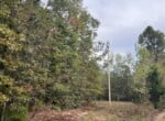 15 acres in Red River County
