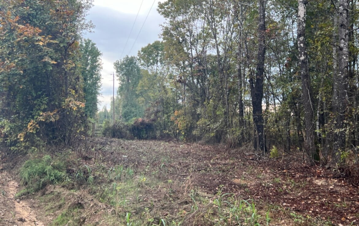 15 acres in Red River County