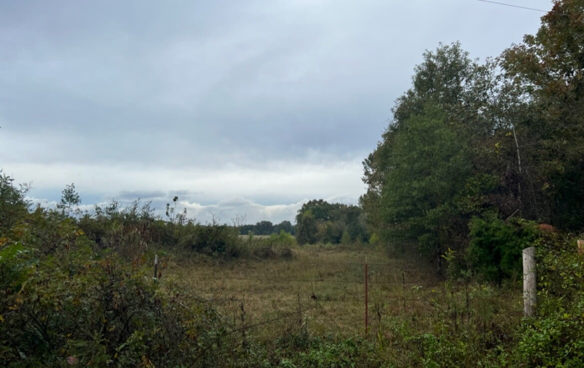 15 acres in Red River County