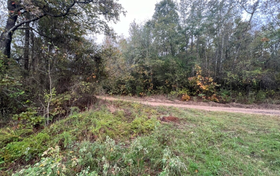 15 acres in Red River County