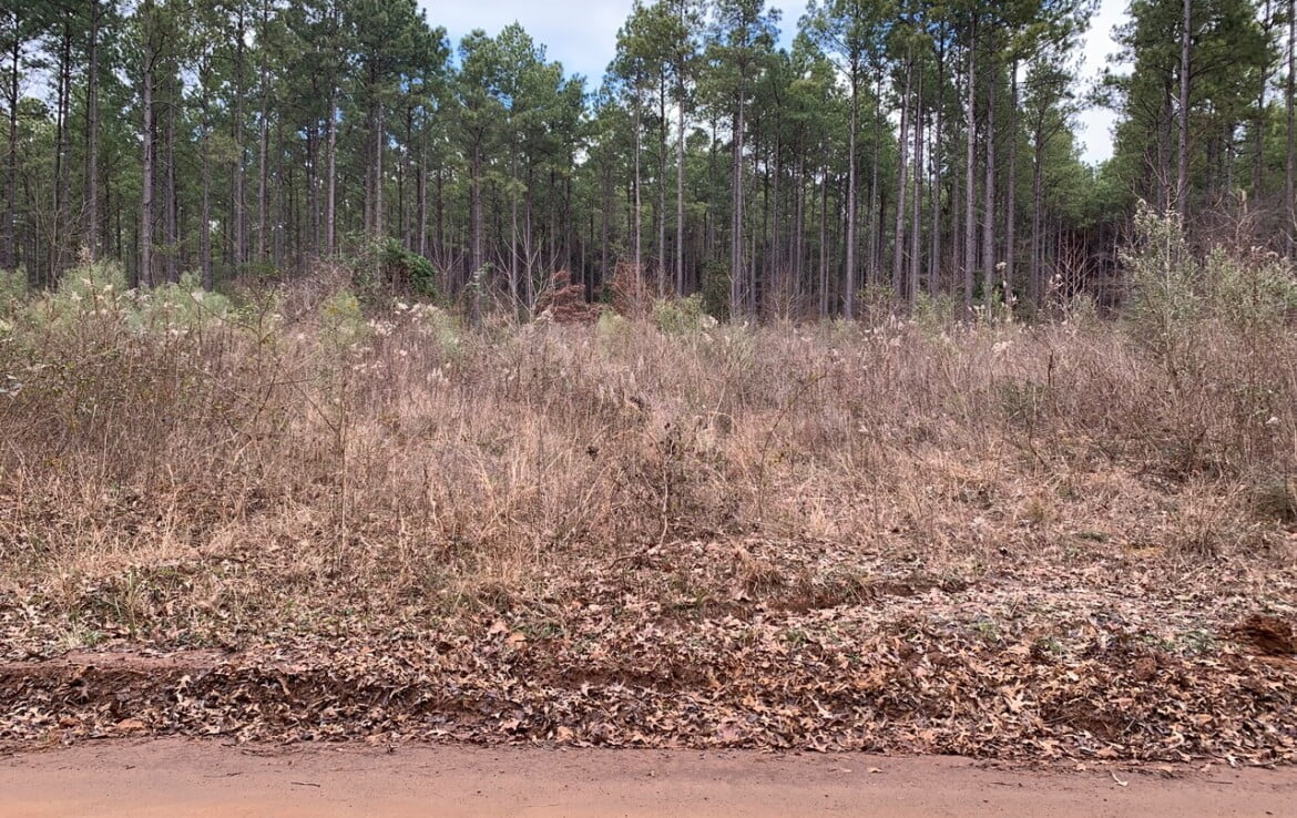 38 acres in Cass County