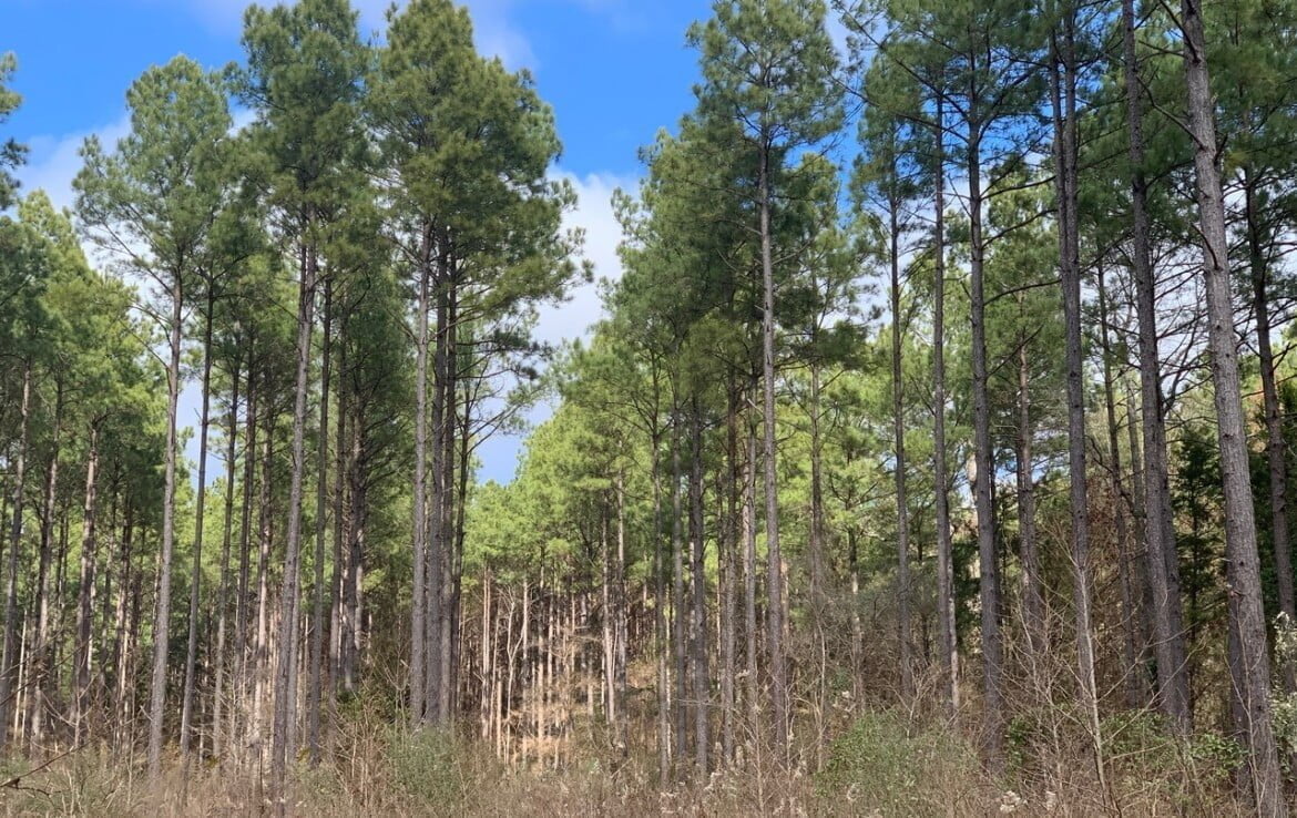 38 acres in Cass County