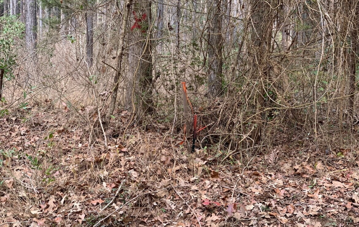 38 acres in Cass County