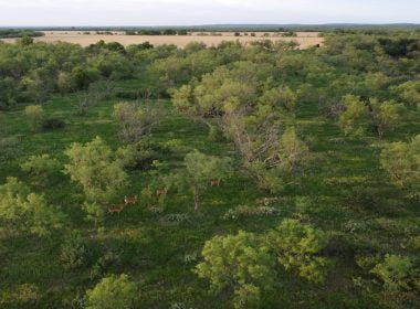 200 acres in Taylor and Runnels County