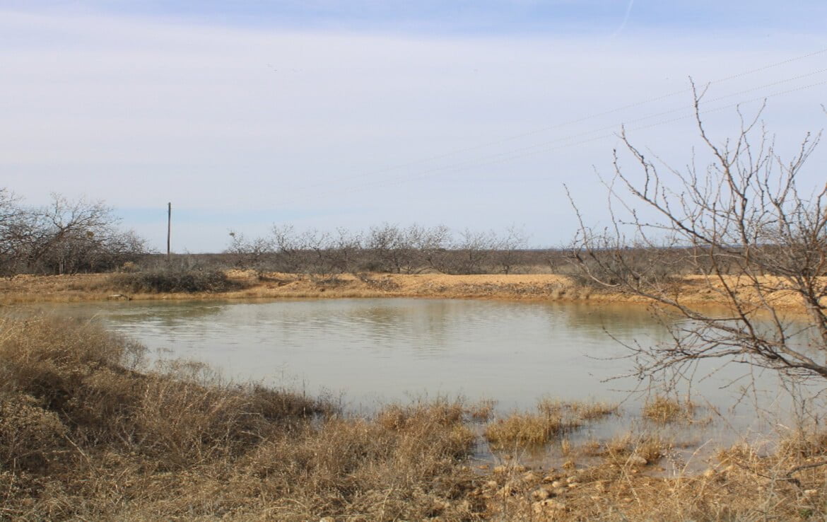 80 acres in Coleman County