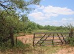 305 acres in Taylor and Runnels County