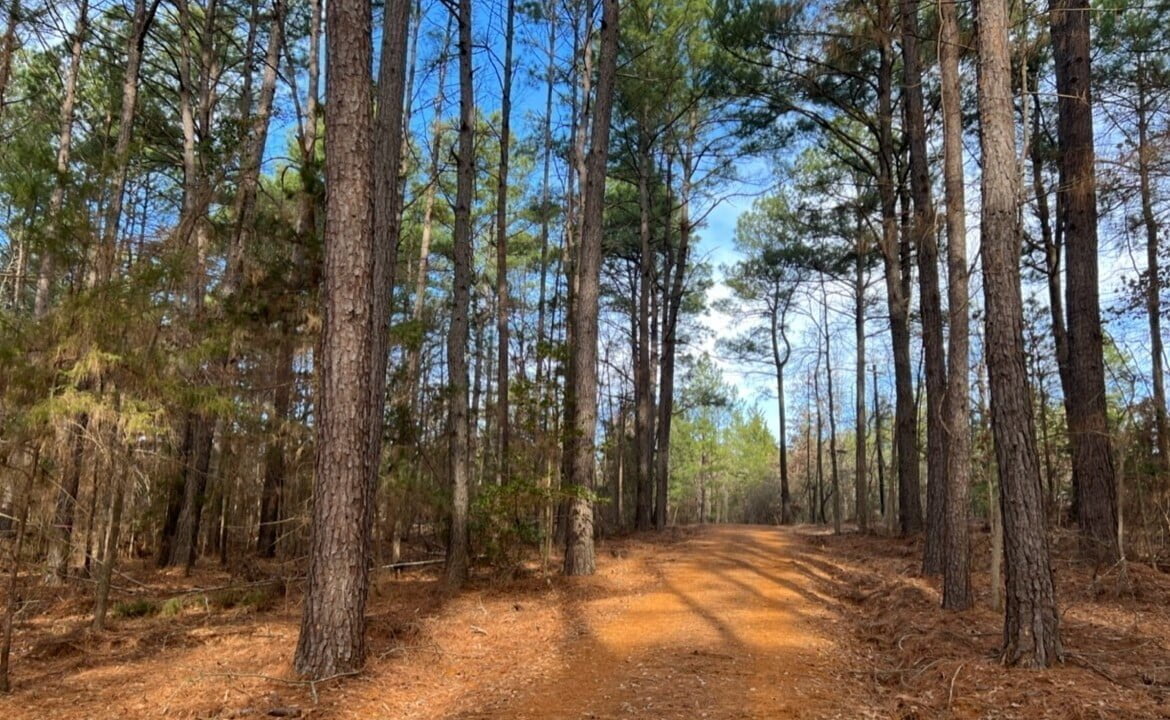 11 acres in Cass County