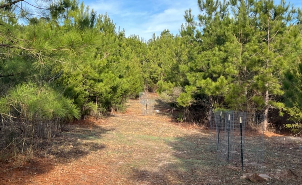 11 acres in Cass County