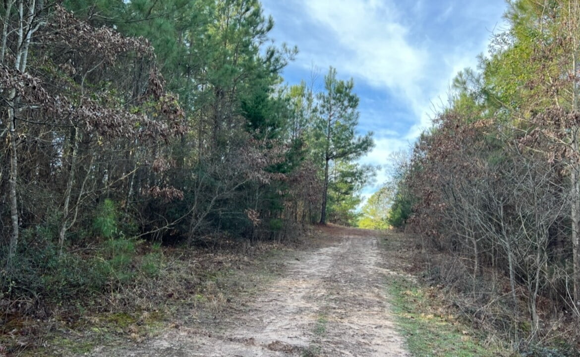 11 acres in Cass County