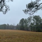 104 acres in Red River County