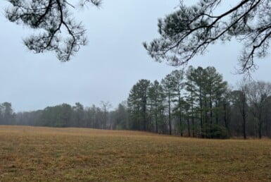 128 acres in Red River County